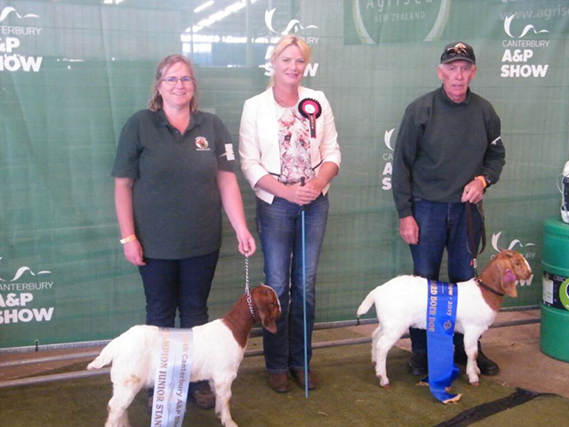 2017 NZBGBA South Island Junior Doe & Reserve